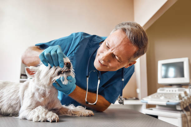 Best 24-Hour Emergency Dental Care in Bray, OK